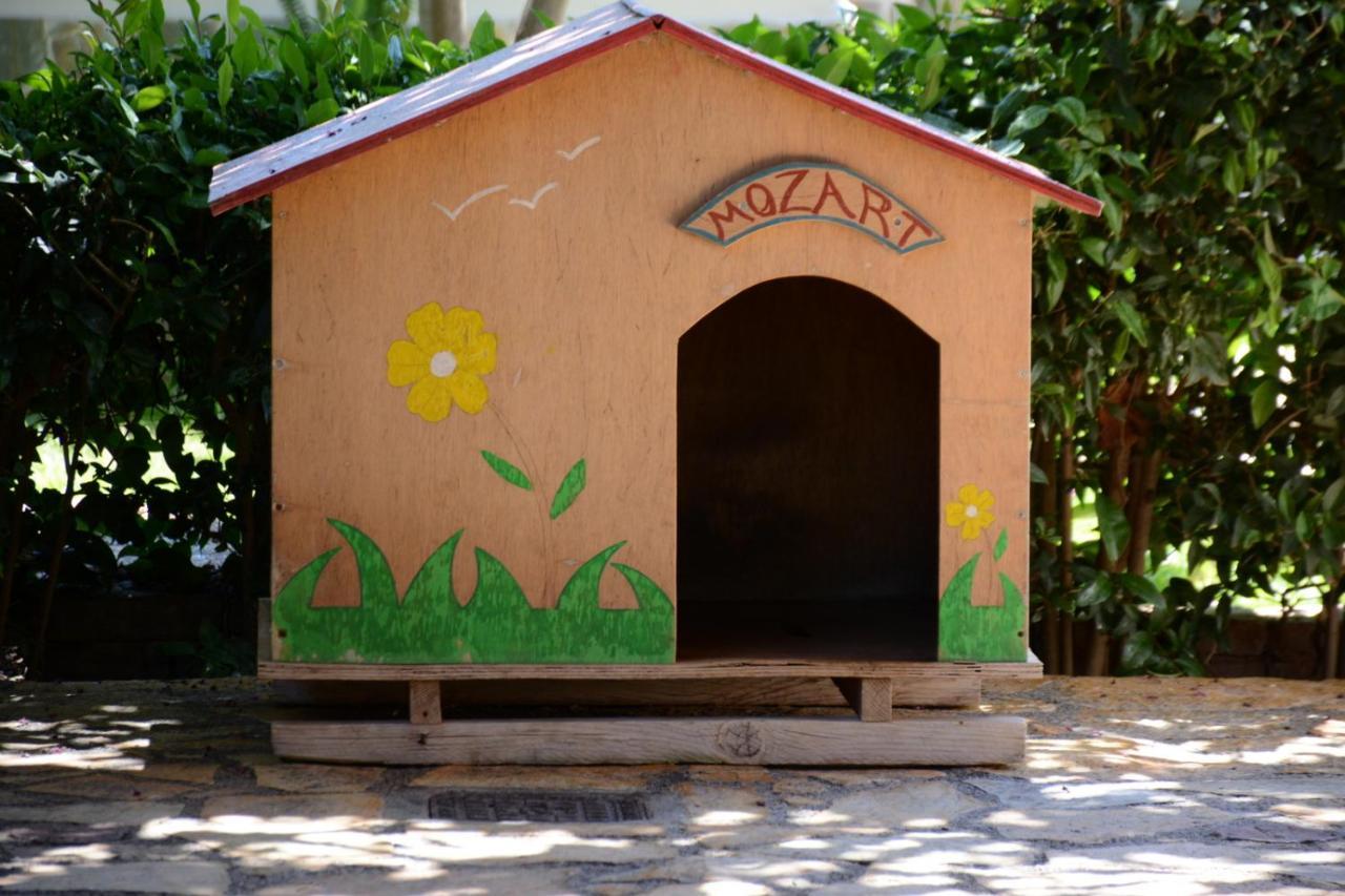 Mozart House Studio อมารินโธส ภายนอก รูปภาพ