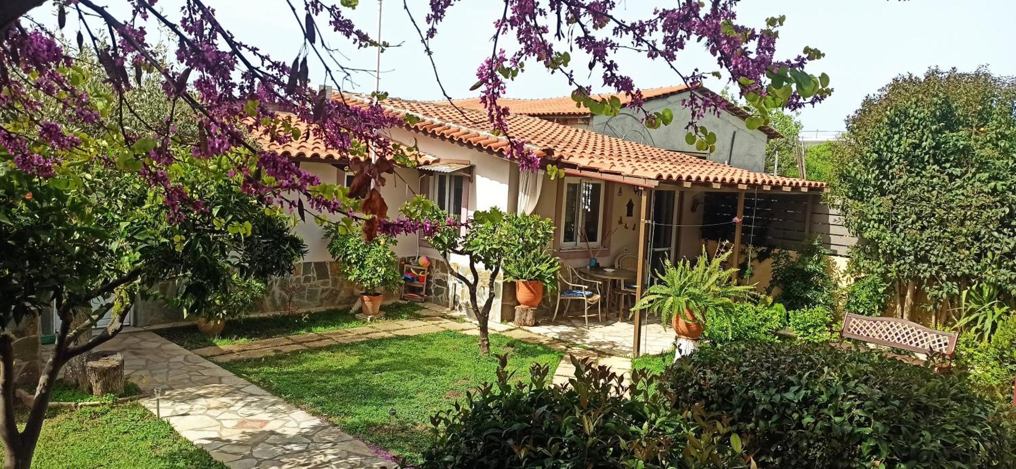 Mozart House Studio อมารินโธส ภายนอก รูปภาพ